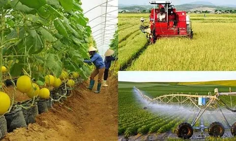 Mối quan hệ giữa phát triển kinh tế tập thể và xây dựng nông thôn mới trong tiến trình hiện đại hóa ở Việt Nam