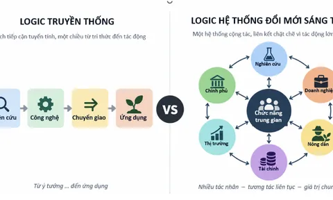 Chức năng trung gian ĐMST và một số đề xuất trong lĩnh vực nông nghiệp