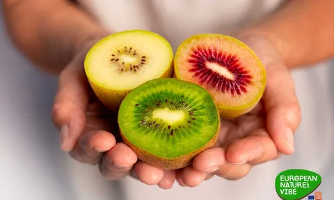 Sắc màu Kiwi Châu Âu đổ bộ thị trường Châu Á: Hành trình 1,8 triệu Euro mang tinh hoa vườn trồng đến bàn ăn Việt