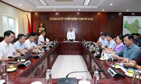 Hà Nội gấp rút phối hợp chuẩn bị tổ chức Festival Bảo tồn và Phát triển Làng nghề toàn cầu năm 2026