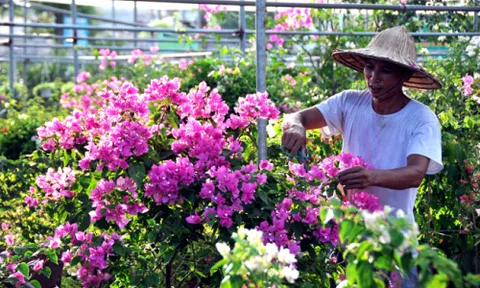 Tận dụng tối đa lợi thế về ngành kinh tế sinh thái hoa - cây cảnh ở Việt Nam.