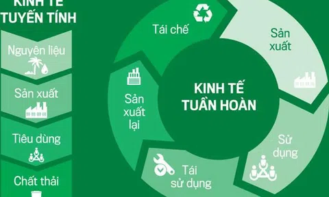 Nền kinh tế tuần hoàn: động lực của đổi mới kinh tế và phát triển xanh