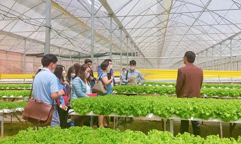 Ngành Nông nghiệp Lâm Đồng tiếp tục đổi mới mô hình tăng trưởng hướng đến toàn diện, bền vững và hiện đại