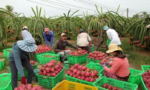 Ngành Nông nghiệp tỉnh Đồng Nai nỗ lực bứt phá để hoàn thành kế hoạch phát triển kinh tế - xã hội 5 năm 2021-2025