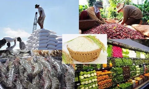 Xuất khẩu nông sản Việt sang thị trường Trung Quốc tăng trưởng đột biến trong tháng đầu năm