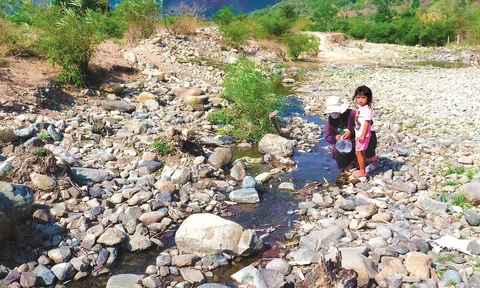 Bình Thuận thiếu nước trầm trọng cho sản xuất nông nghiệp do nắng nóng kéo dài