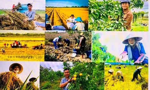 Tăng cường công tác đào tạo, bồi dưỡng, hỗ trợ cho nông dân, thúc đẩy quá trình “tri thức hóa nông dân”