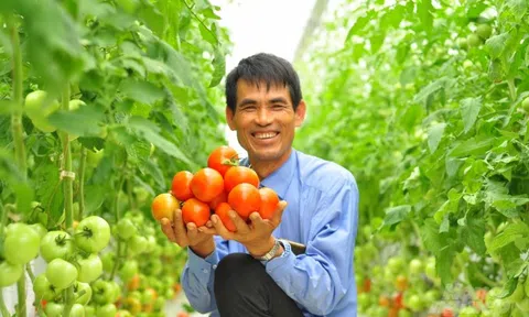 Lâm Đồng: Diện tích sản xuất nông nghiệp ứng dụng công nghệ cao tăng 3,74%
