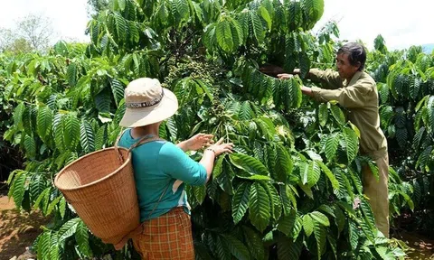 Đắk Nông: Xây dựng nông thôn mới gắn với giảm nghèo bền vững