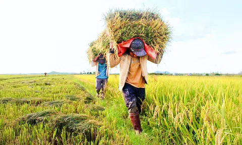 Lâm Đồng: Tăng trưởng ngành Nông nghiệp chưa đạt kỳ vọng