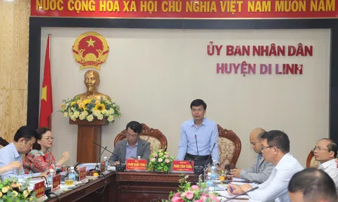 Tiến tới thẩm định công nhận thị trấn Di Linh đạt chuẩn đô thị loại IV sớm nhất vào tháng 12/2024