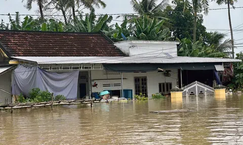 Quảng Ngãi: Khẩn trương triển khai ứng phó mưa, lũ và khắc phục các thiệt hại do mưa, lũ gây ra