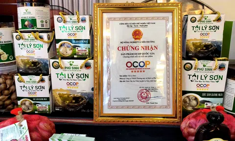Quảng Ngãi: 640 sản phẩm OCOP 3 sao trở lên tiêu thụ rộng rãi trên thị trường