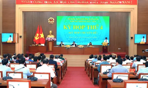 Quảng Ngãi: Thông qua Nghị quyết quy định mức hỗ trợ khắc phục dịch bệnh động vật