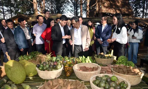 Quảng Ngãi: Tổ chức phiên chợ Nông sản và Dược liệu, Không gian Ẩm thực - Sản phẩm OCOP năm 2026