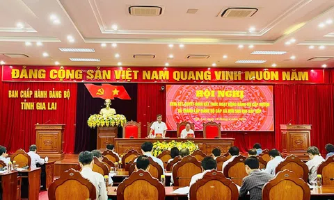 Gia Lai: 17 đảng bộ huyện, thị xã, thành phố sẽ kết thúc hoạt động