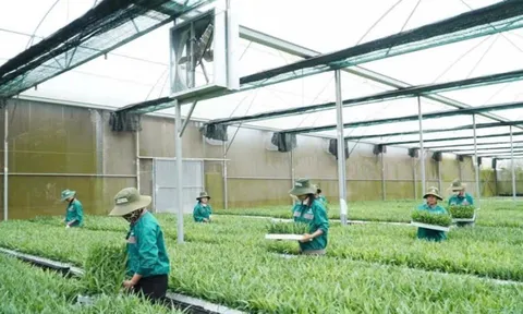 Đắk Lắk: Công tác khuyến nông là người bạn đồng hành tin cậy của nông dân