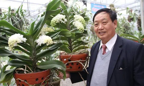 GS.TSKH Trần Duy Quý nói về Giá trị dược liệu của lan rừng Việt Nam
