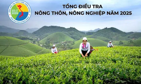 Tổng điều tra nông thôn, nông nghiệp năm 2025