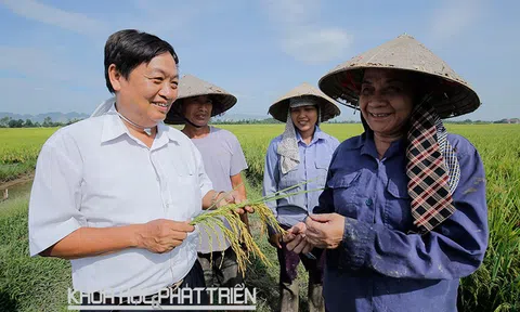 GS. TSKH Trần Duy Quý cha đẻ của nhiều giống lúa lai nổi tiếng