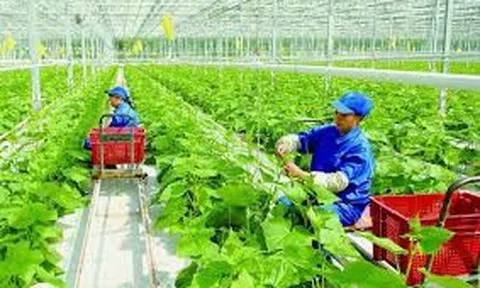 Bàn về tăng trưởng xanh và Nông nghiệp sinh thái
