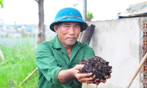 Biến phụ phẩm nông nghiệp thành "vàng xanh": Câu chuyện từ những mô hình thực tiễn