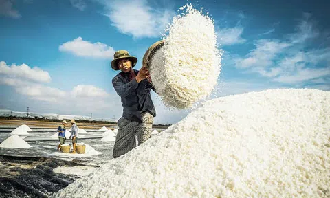 Hạt muối Việt: Đã đến lúc viết lại câu chuyện từ biển cả