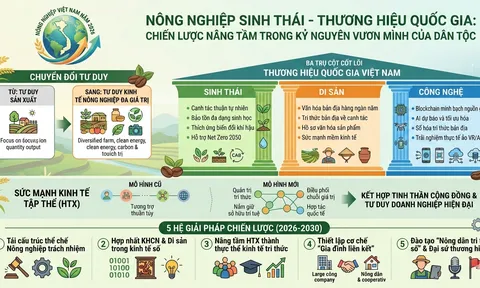 Nông nghiệp Sinh thái - Thương hiệu Quốc gia, tầm nhìn chiến lược trong Kỷ nguyên vươn mình (Bài 10)
