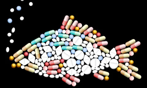 Một sức khỏe và bài toán kháng kháng sinh: Từ thực tiễn quốc tế đến chiến lược hành động tại Việt Nam