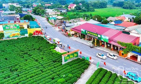 Hiện đại hóa Nông thôn: Thực trạng và Giải pháp