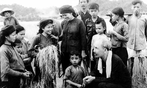 Thư gửi điền chủ, nông gia của Bác Hồ: Bản tuyên ngôn về kinh tế hợp tác (Bài 01)