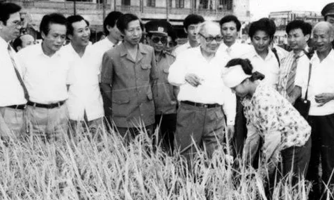 HTX Nông nghiệp Việt Nam giai đoạn (1976 - 1986) - Bài 04