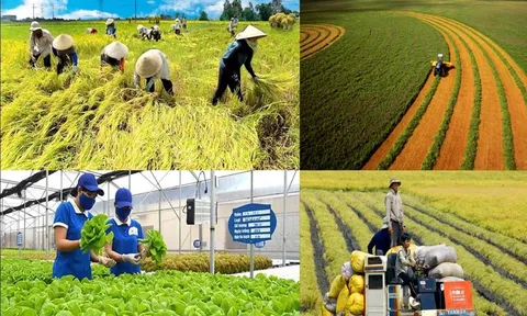 HTX Nông nghiệp Việt Nam giai đoạn (1997 - 2002) - Bài 06