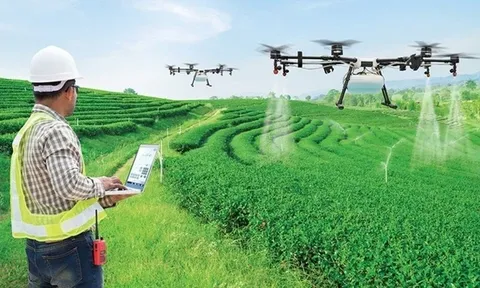 HTX Nông nghiệp Việt Nam giai đoạn từ 2013 đến nay và tầm nhìn 2045 (Bài 08)