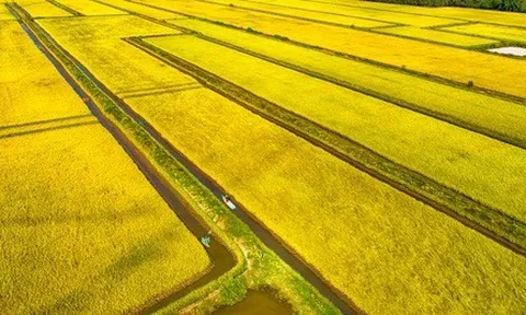 Từ Chỉ thị 100 đến Nghị quyết 10: Hành trình gỡ nút thắt cho HTX Nông nghiệp Việt Nam - Bài 09