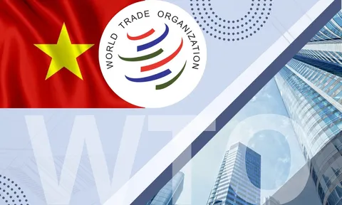 HTX trong tiến trình hội nhập WTO: Từ thể chế truyền thống đến năng lực cạnh tranh toàn cầu - Bài 11