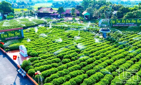 HTX: “Mắt xích vàng” trong liên kết và chuỗi giá trị toàn cầu - Bài 14