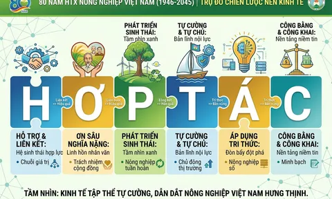 Hệ giá trị HỢP TÁC: Nền tảng cốt lõi để phát triển bền vững (Bài cuối)