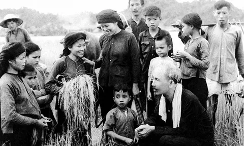 Từ bức thư năm ấy đến cánh đồng hôm nay!