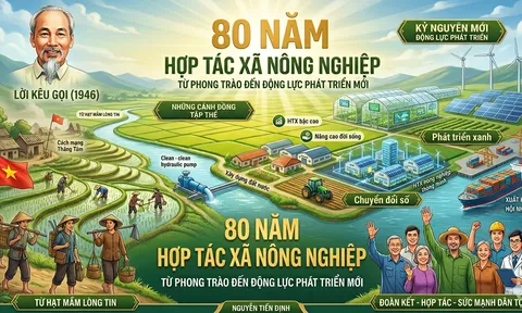 80 năm hợp tác xã nông nghiệp: Từ phong trào đến động lực phát triển mới