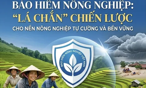 Bảo hiểm nông nghiệp: Giải pháp chiến lược cho nền nông nghiệp tự cường và bền vững