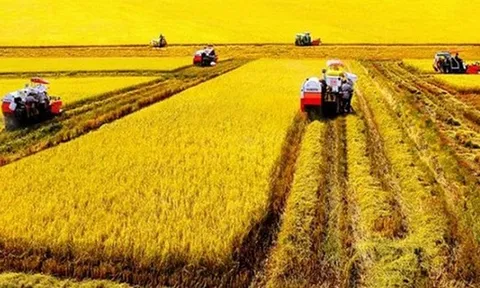 Chuyển đổi từ tư duy sản xuất nông nghiệp sang tư duy kinh tế nông nghiệp