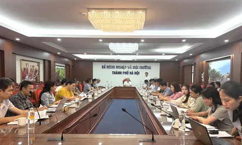 Hội nghị góp ý kế hoạch thực hiện chương trình mục tiêu quốc gia xây dựng Nông thôn mới, Giảm nghèo bền vững và Phát triển kinh tế - xã hội vùng đồng bào dân tộc thiểu số và miền núi giai đoạn 2026 - 2030