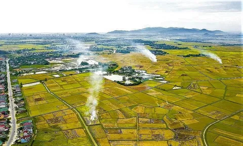 13 nguyên tắc nông nghiệp sinh thái và định hướng giải pháp chuyển đổi toàn diện, bền vững tại Đồng bằng sông Hồng