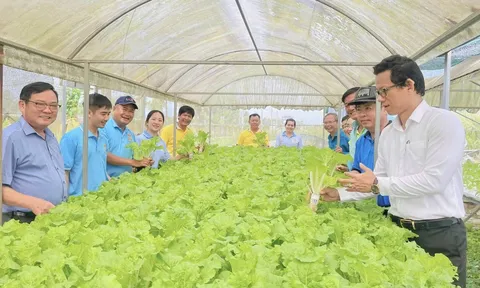 Hạ tầng tri thức và không gian học hỏi: Từ chuyển giao kỹ thuật đến đồng sáng tạo trong nông nghiệp sinh thái tại Đồng bằng sông Hồng