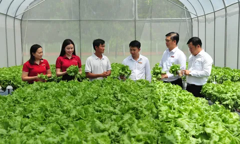 Quản trị liên ngành, liên cơ quan: Điều kiện tiên quyết để chuyển đổi nông nghiệp sinh thái có tác động toàn diện tại Đồng bằng sông Hồng