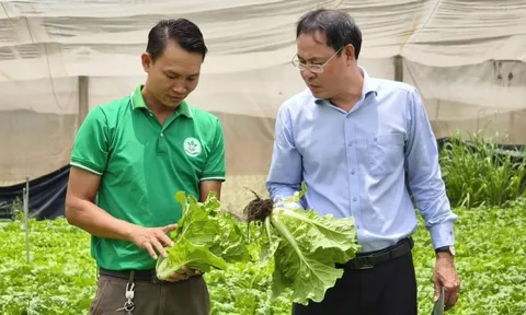 Chính sách dựa trên bằng chứng và kết nối từ địa phương đến khu vực trong tiến trình chuyển đổi nông nghiệp sinh thái tại Đồng bằng sông Hồng
