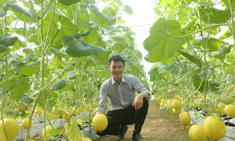Phát huy lợi thế sinh thái và định hướng chiến lược chuyển đổi toàn diện nông nghiệp Đồng bằng sông Hồng