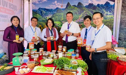 Sắc màu vùng cao: Ngày hội văn hóa và hương sắc cà phê giữa lòng thủ phủ Sơn La