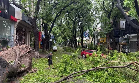 Bão Yagi tàn phá Hà Nội: Cây đổ la liệt, nhiều tuyến đường ngập nước